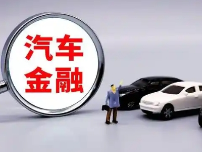 巴马押车贷款不是本人可以么?